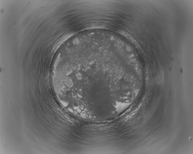 X0000071841121200607290101