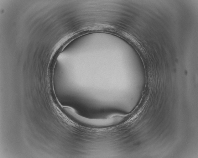 X0000071841122200607290101