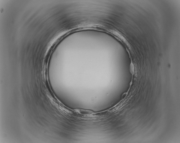 X0000071841124200607290101