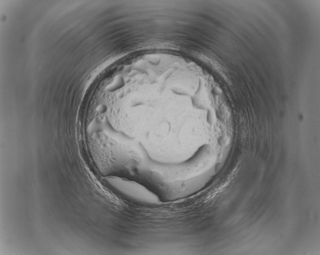 X0000071841125200607290101