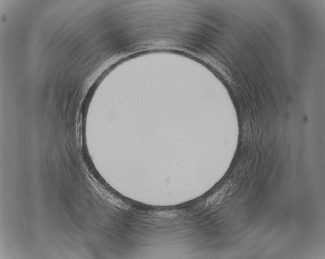 X0000071841126200607290101