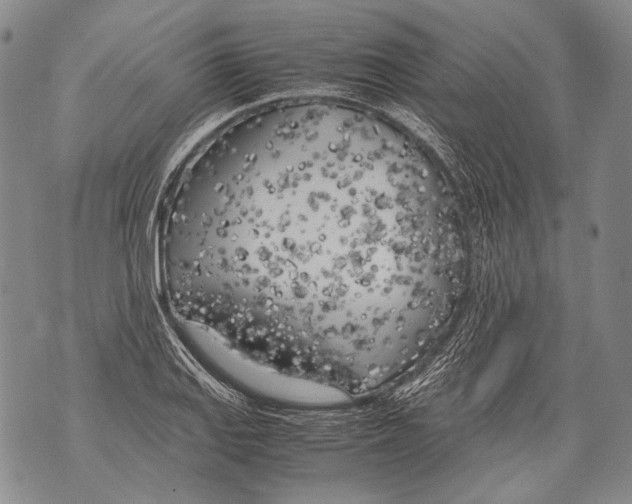 X0000071841127200607290101