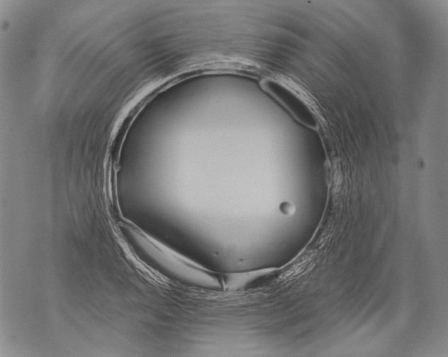 X0000071841128200607290101