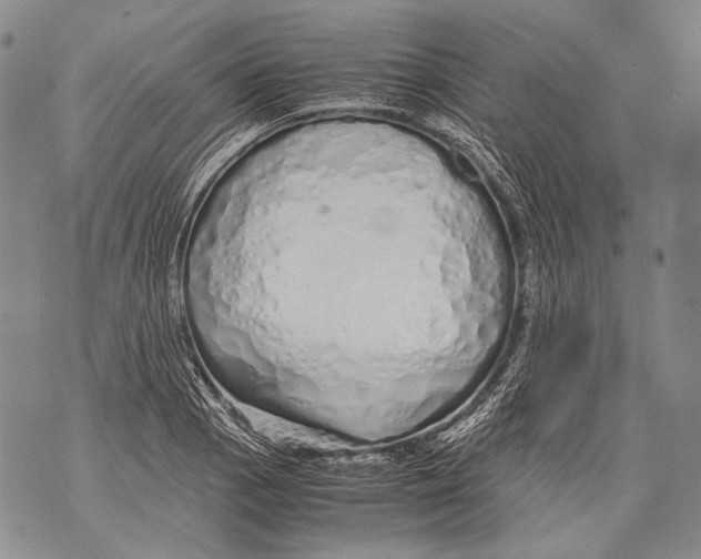 X0000071841129200607290101