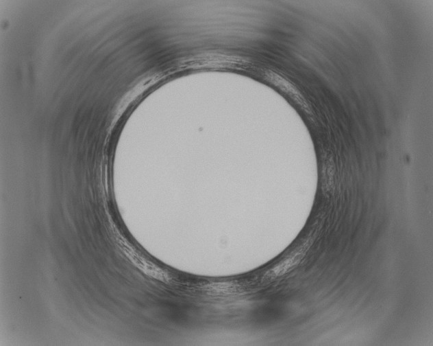 X0000071841130200607290101