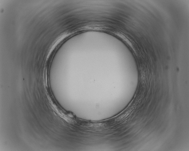 X0000071841131200607290101