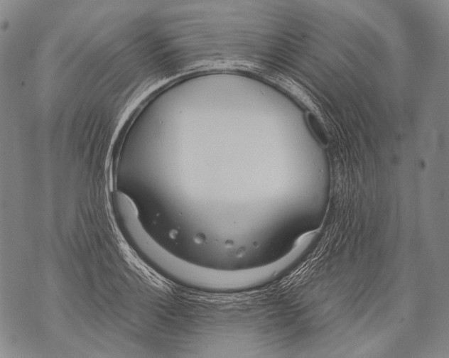 X0000071841132200607290101