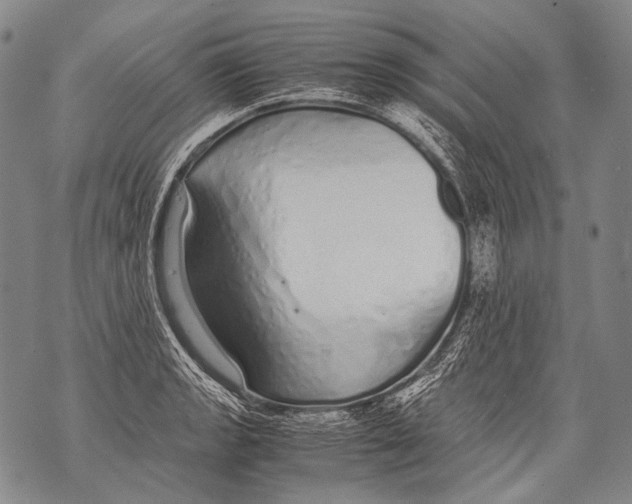 X0000071841133200607290101