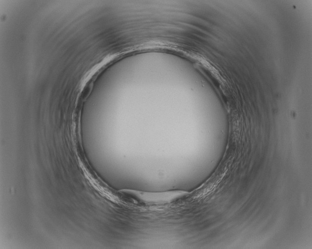 X0000071841134200607290101