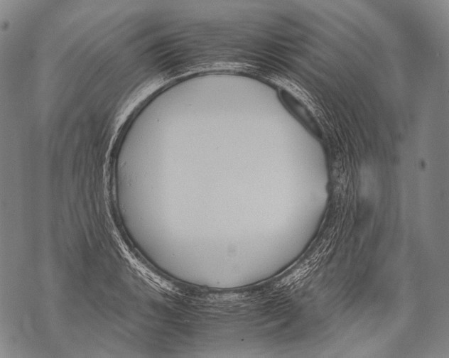 X0000071841135200607290101