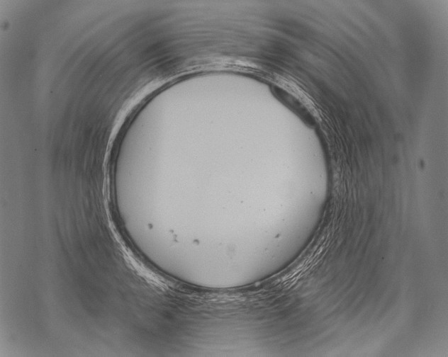 X0000071841136200607290101