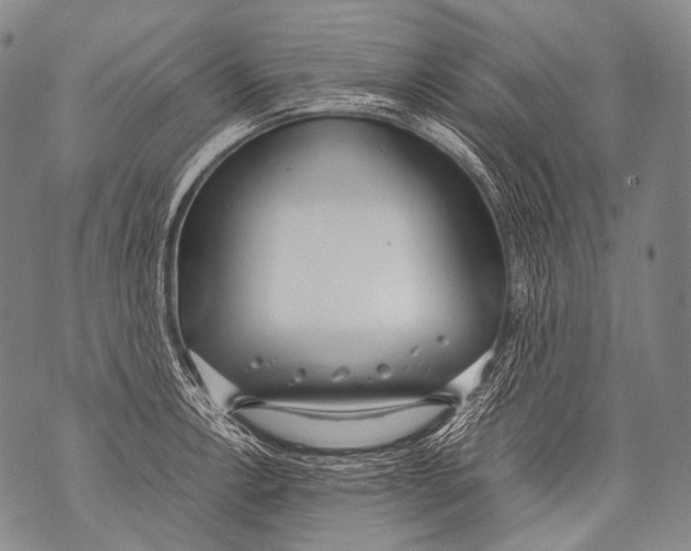 X0000071841138200607290101