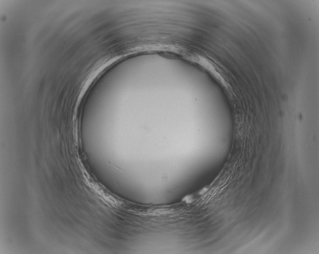 X0000071841140200607290101