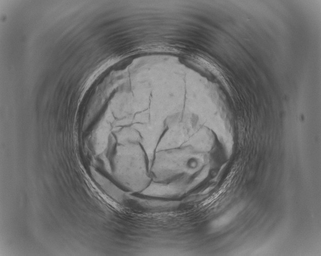 X0000071841141200607290101