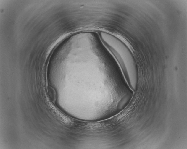 X0000071841142200607290101