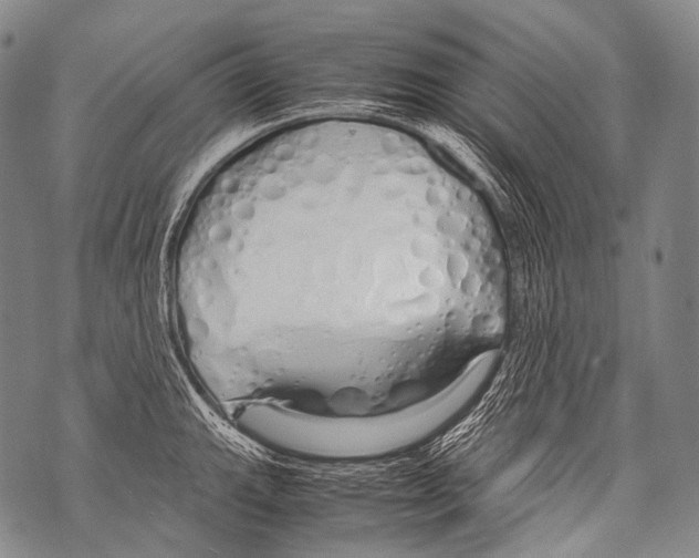 X0000071841143200607290101