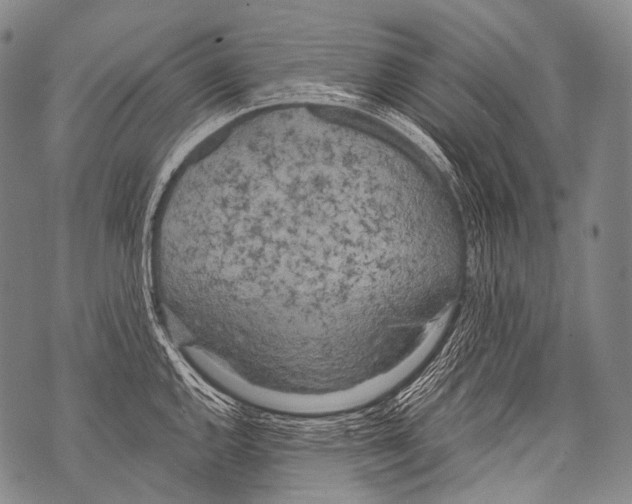 X0000071841144200607290101