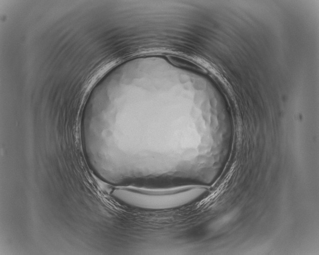 X0000071841145200607290101