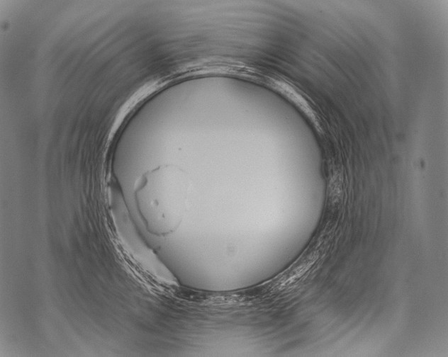 X0000071841146200607290101