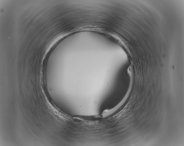 X0000071841147200607290101