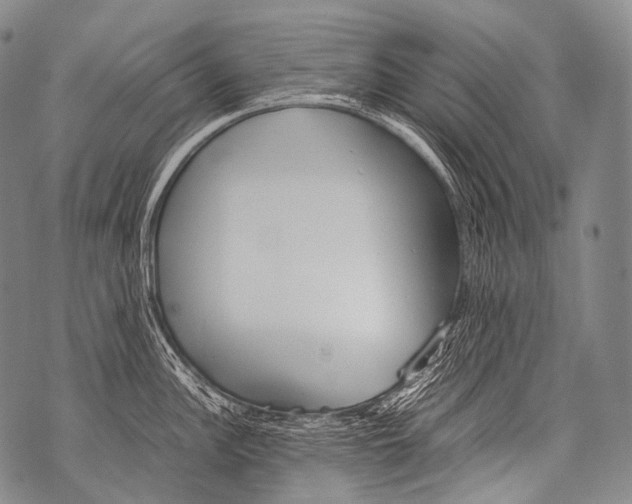 X0000071841148200607290101