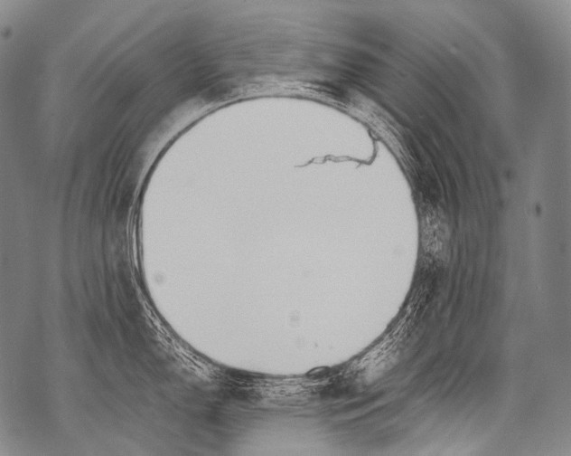 X0000071841150200607290101