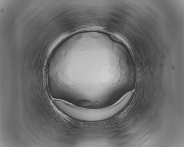 X0000071841151200607290101