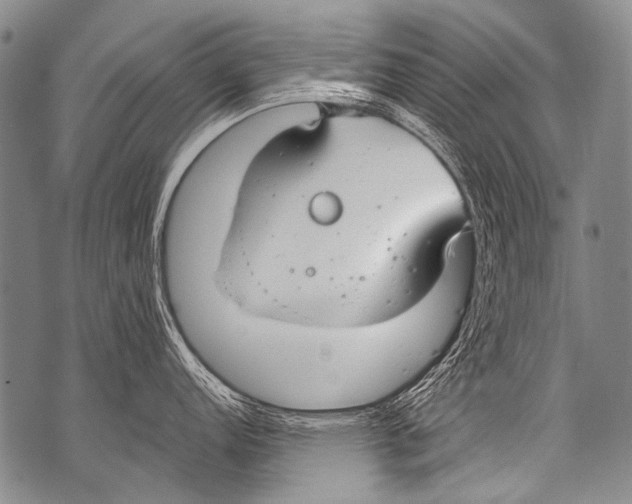 X0000071841152200607290101