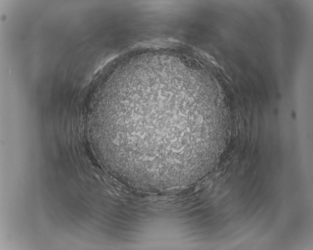 X0000071841158200607290100