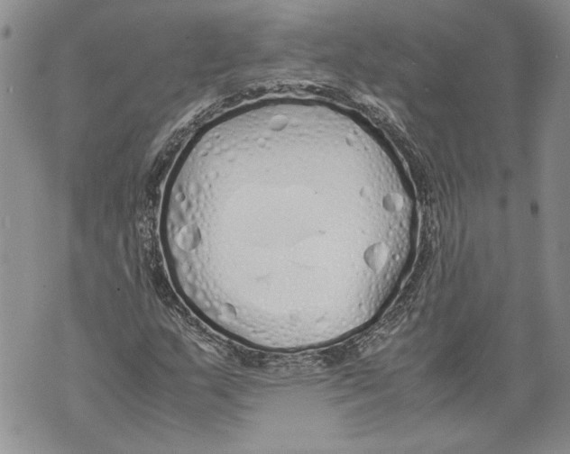 X0000071841159200607290100