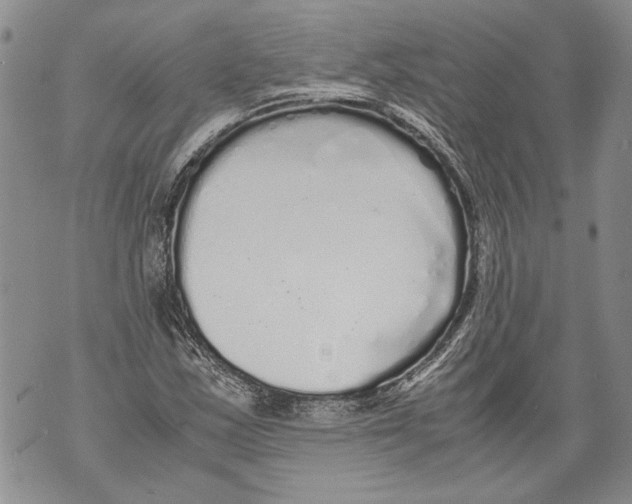 X0000071841163200607290100