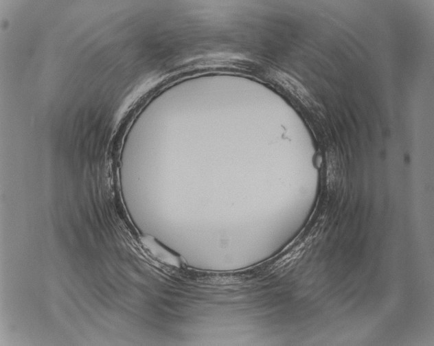 X0000071841164200607290100