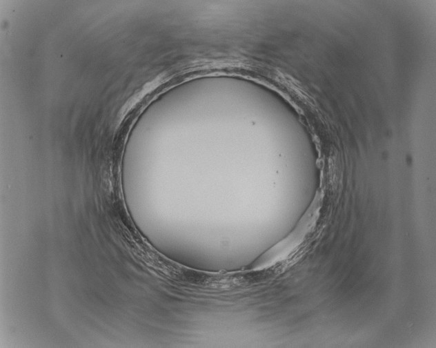 X0000071841165200607290100