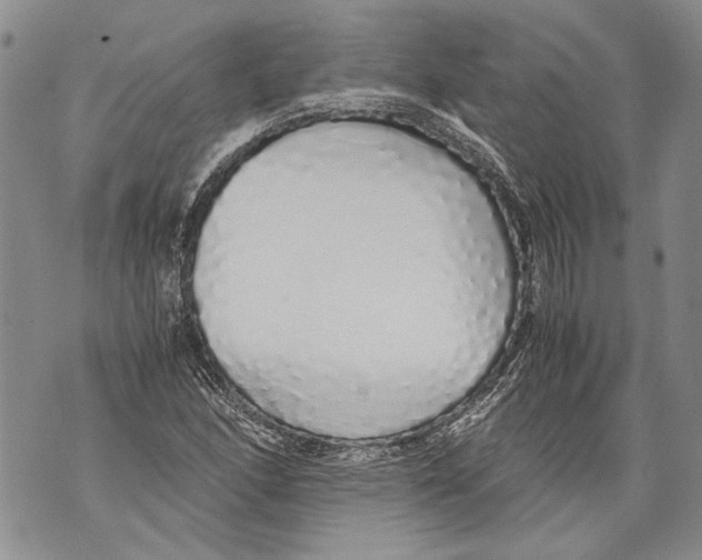 X0000071841166200607290100