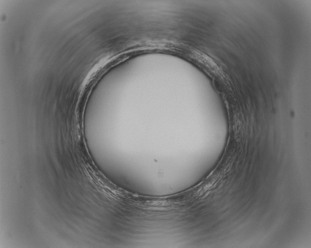 X0000071841172200607290100