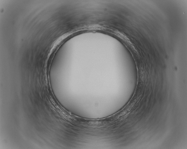 X0000071841176200607290100