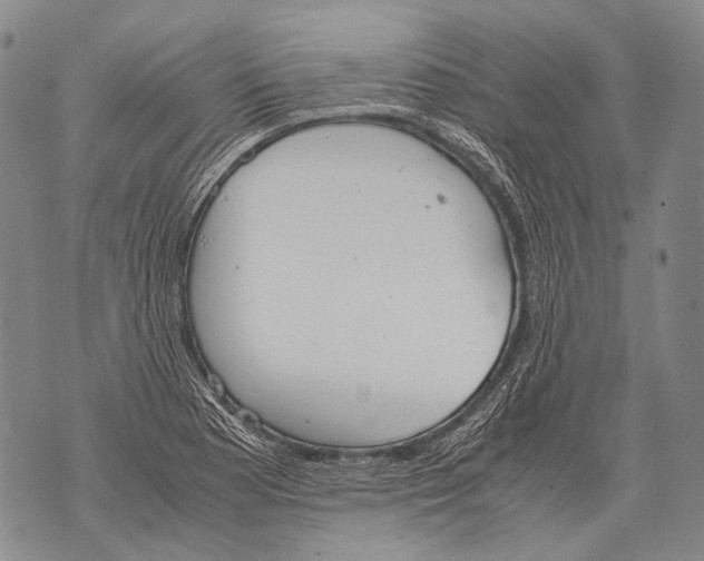 X0000071841177200607290100