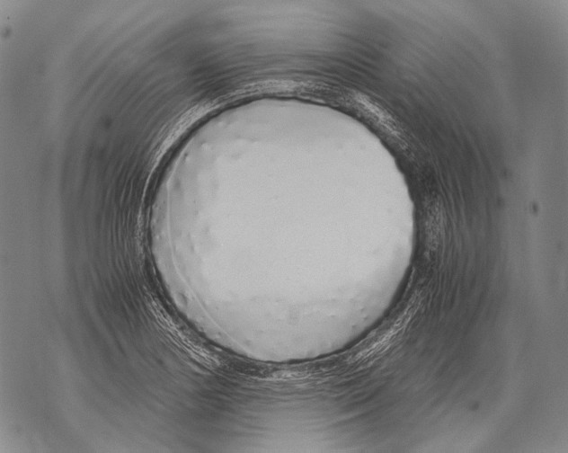 X0000071841178200607290100