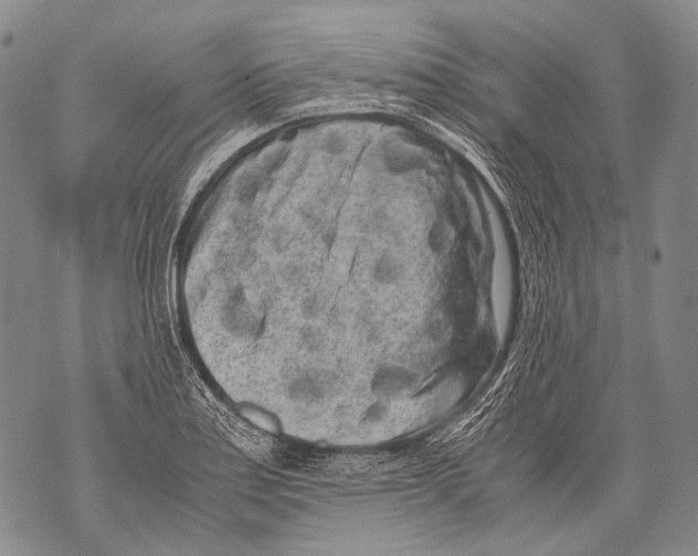 X0000071841179200607290100