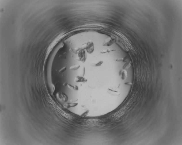 X0000071841180200607290100