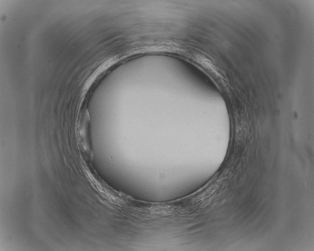 X0000071841181200607290100