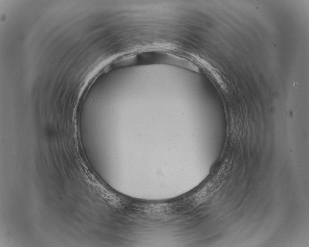 X0000071841184200607290100