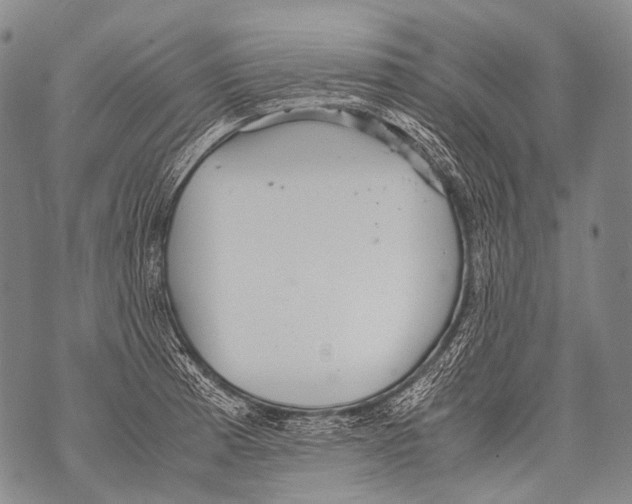 X0000071841185200607290100