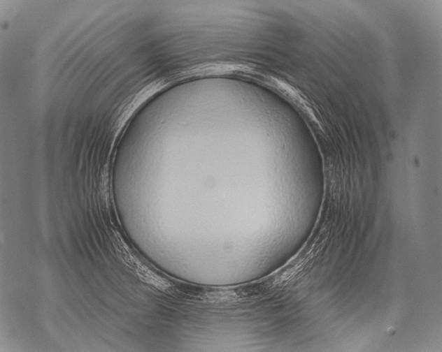 X0000071841186200607290100