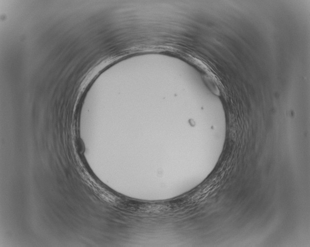 X0000071841187200607290100