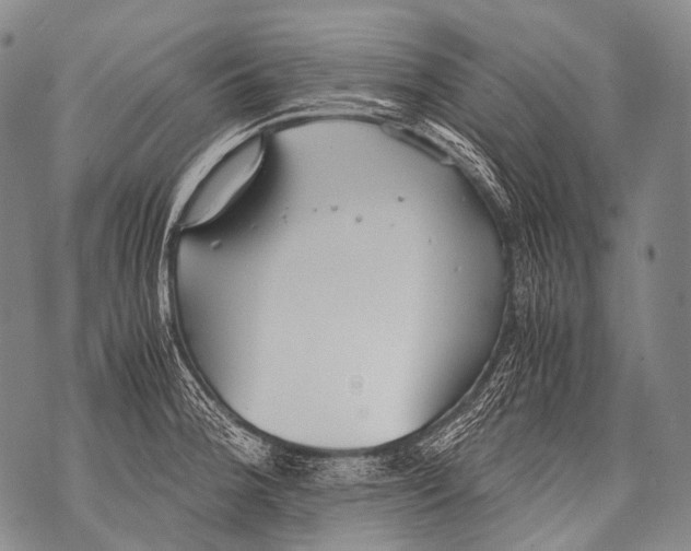 X0000071841188200607290100