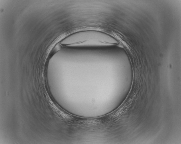 X0000071841189200607290100