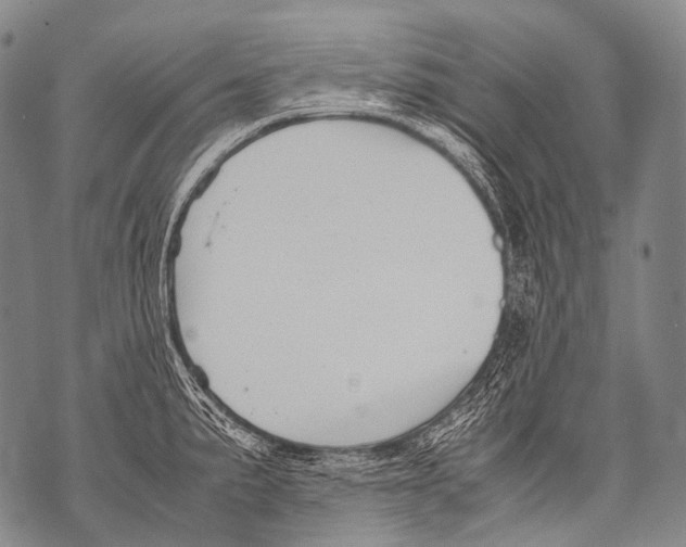 X0000071841191200607290100