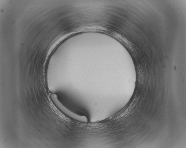 X0000071841192200607290100