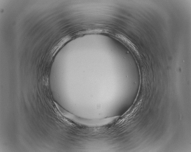 X0000071841193200607290100